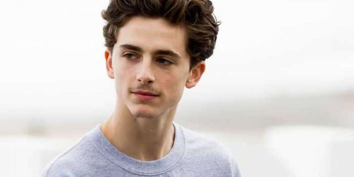 Timothée Chalamet takes role as young Willy Wonka