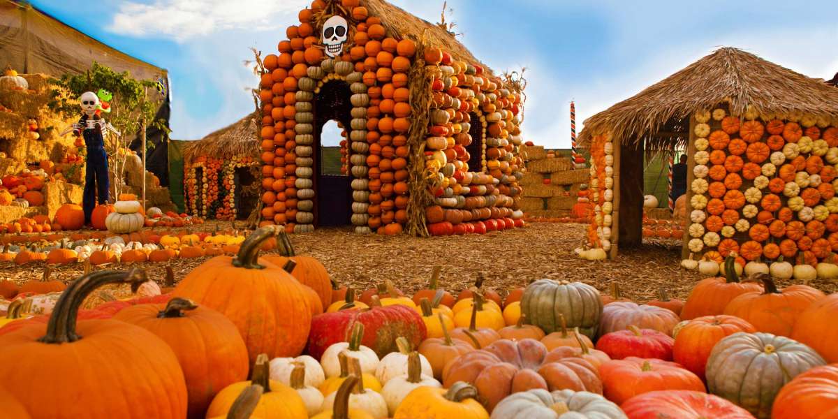 Best Pumpkin Patches In Los Angeles