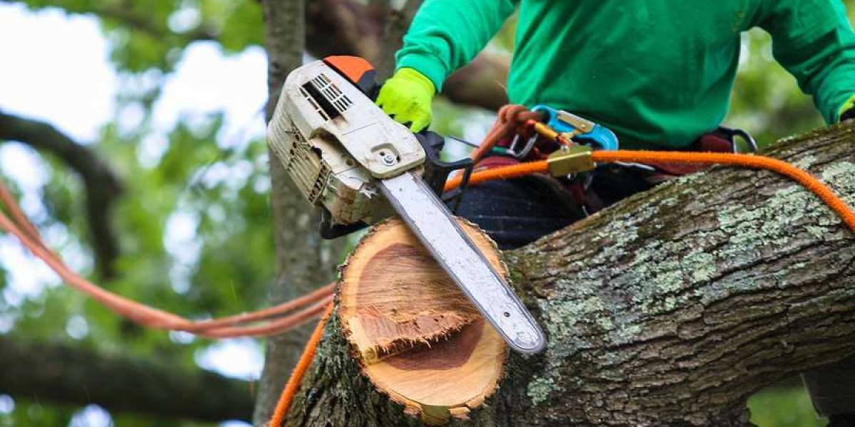The Real Tree Masters Inc Trusted Canadian Arborists for Tree Care Services