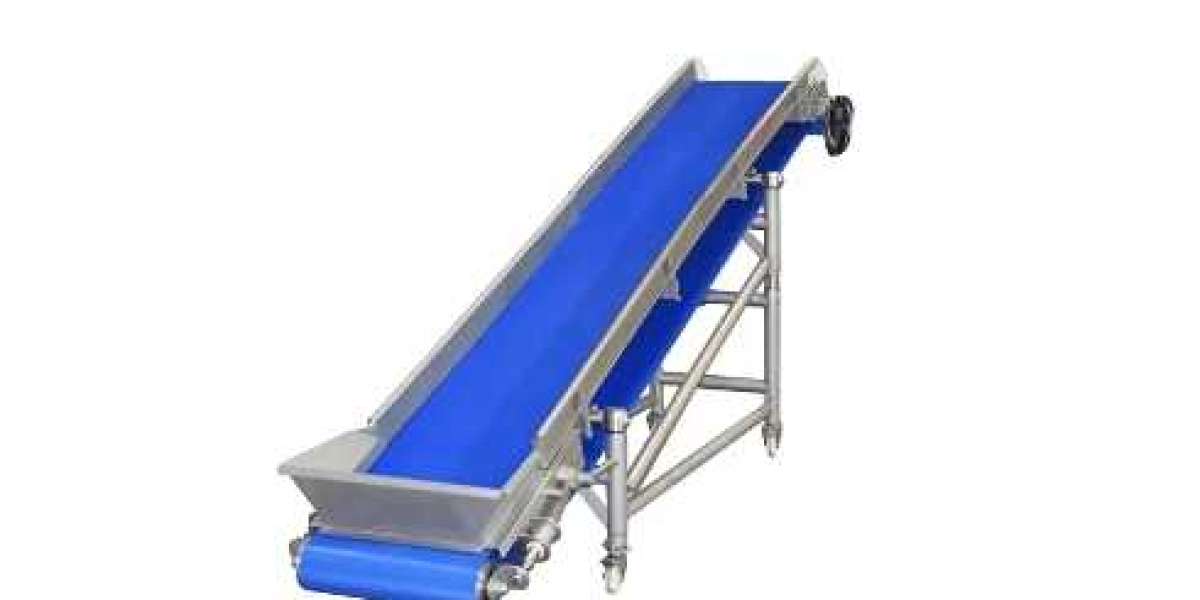Choosing the Right Lifting Conveyor for Vegetables for Your Vegetable Processing Needs