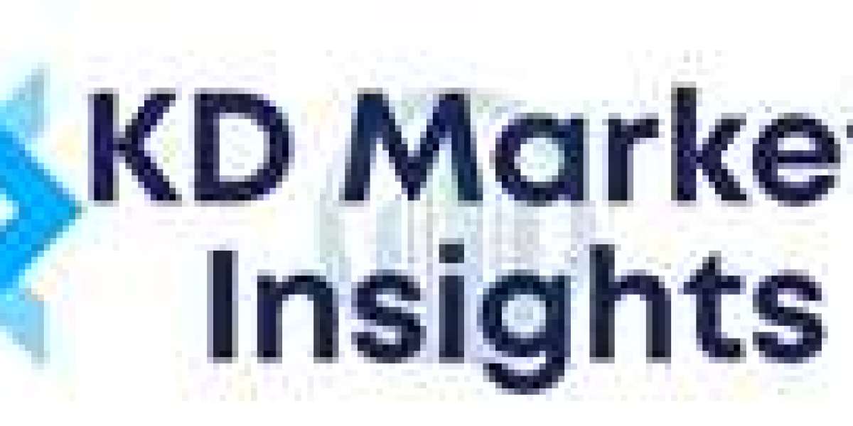 Low Code Development Platform Market Size, Historical Growth, Analysis, Opportunities and Forecast To 2032