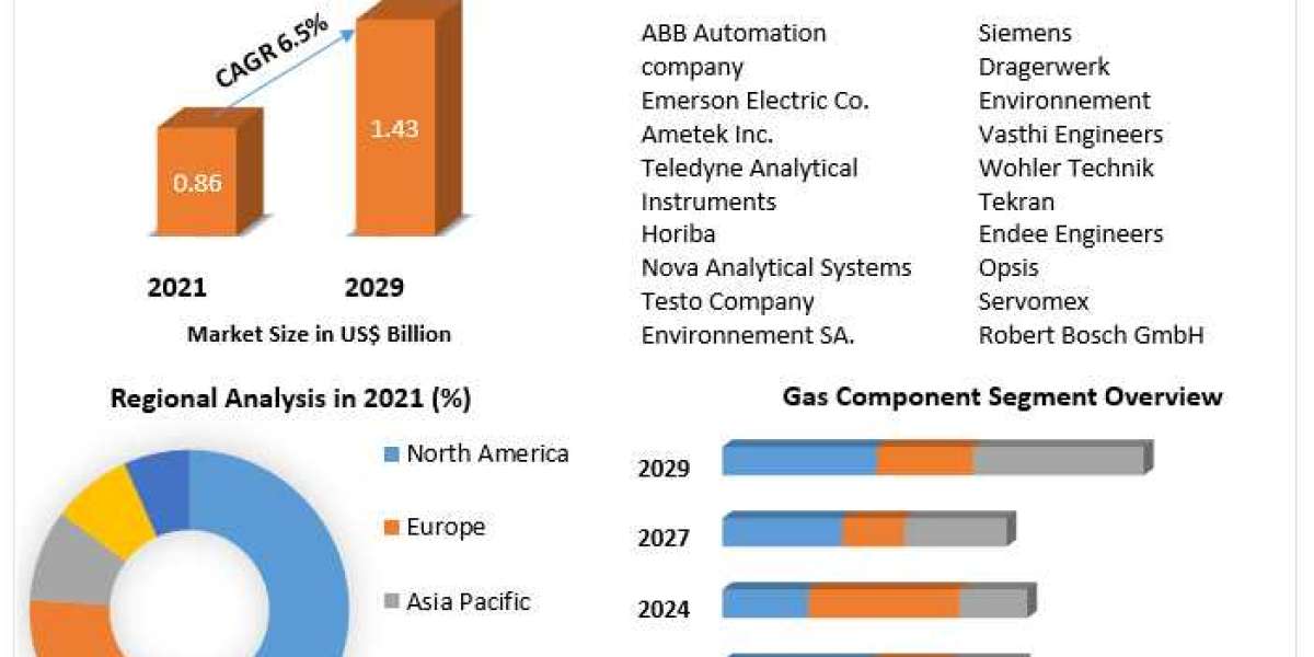 Strategic Developments and Market Strategies: Flue Gas Analyzers Post-2022