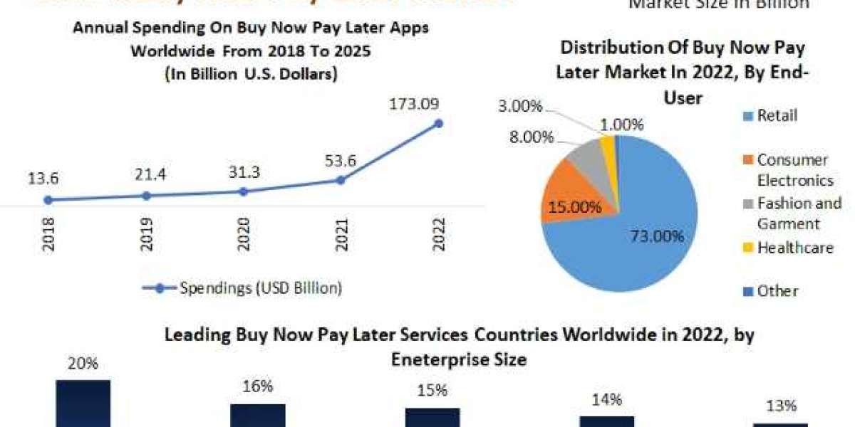 Buy Now Pay Later Market Top Players, Regions, Trends, Opportunity And Forecast 2029