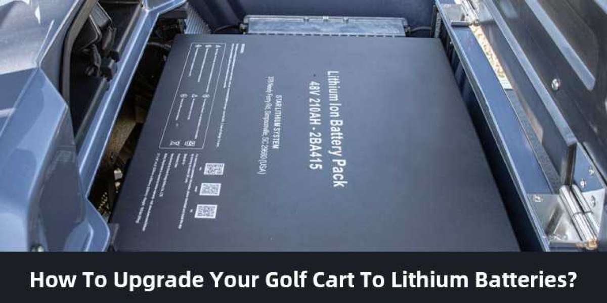 Illuminate Your Future with Redway Pioneering Lithium Ion Battery Solutions
