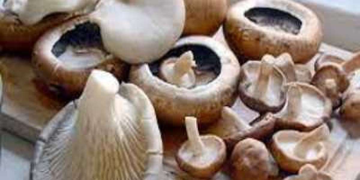 Mushroom Market Size $108.20 Billion by 2030