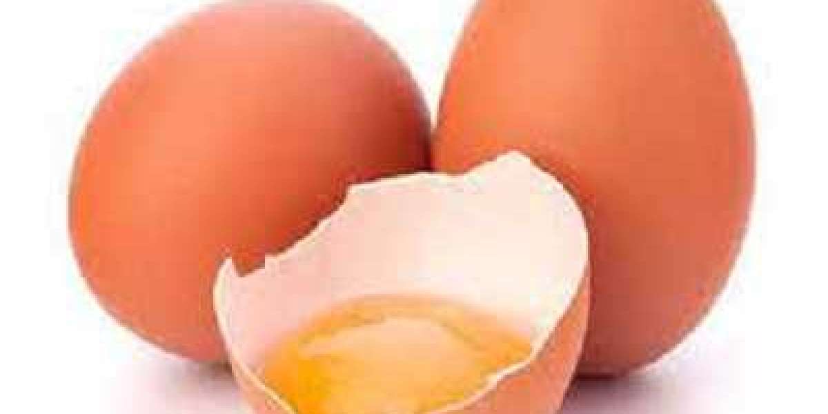 Egg Replacement Ingredients Market Size $1,575.4 Million by 2030