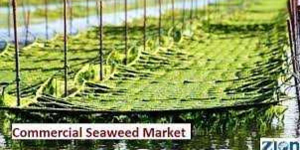 Commercial Seaweed Market Size $10.65 Billion by 2030