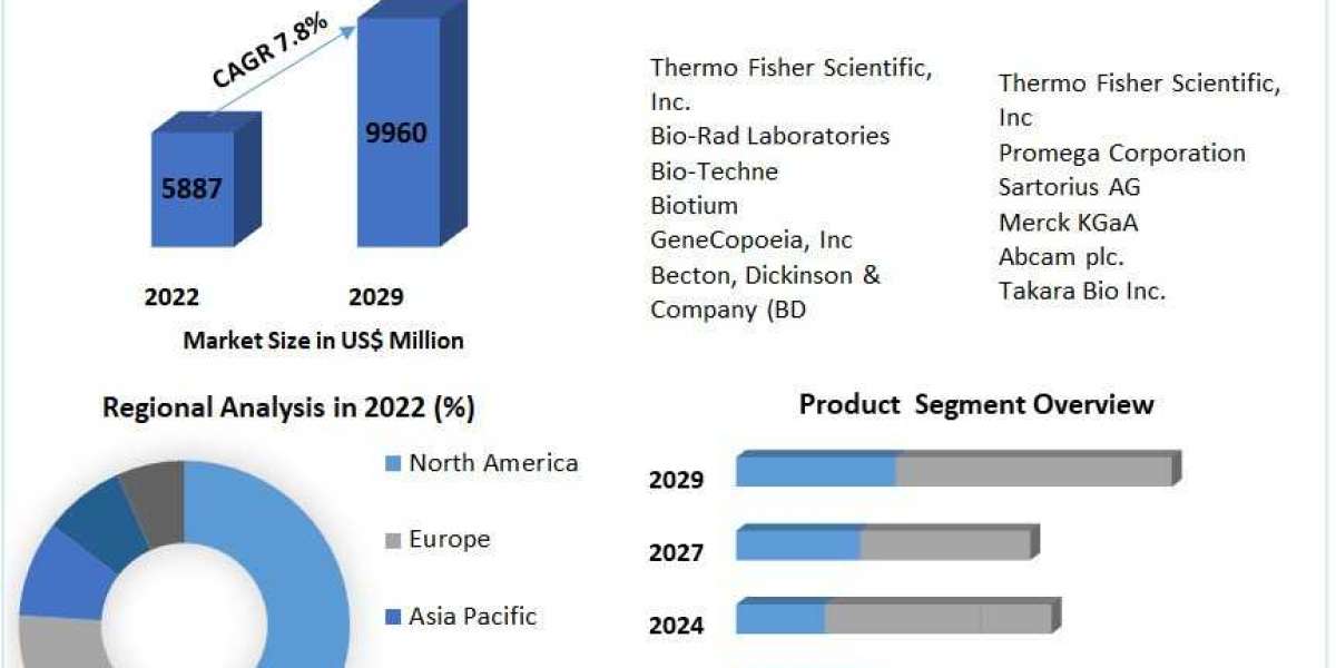 Apoptosis Assay Market Navigating the Path to a US$ 9960.5 Million