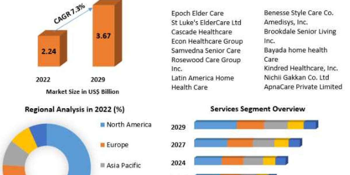Aged Care Market Development Trends, Competitive Landscape -2029