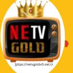 Netv Gold V6