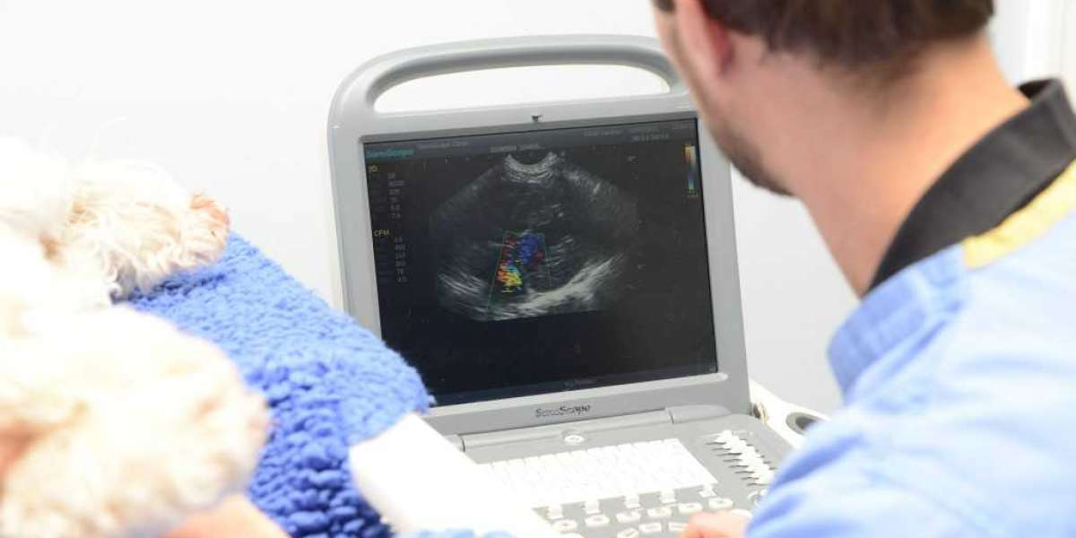 All About Cutting Edge Canine and Feline Ultrasound by Sound Wave Imaging