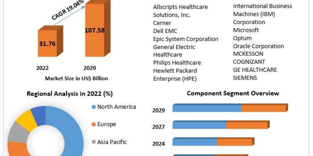 ​Big Data Healthcare Market Global Share, Segmentation, Analysis and Forecast 2029