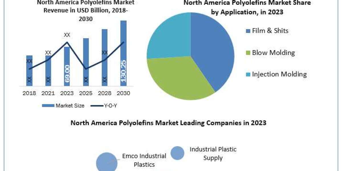 North America Polyolefins Market