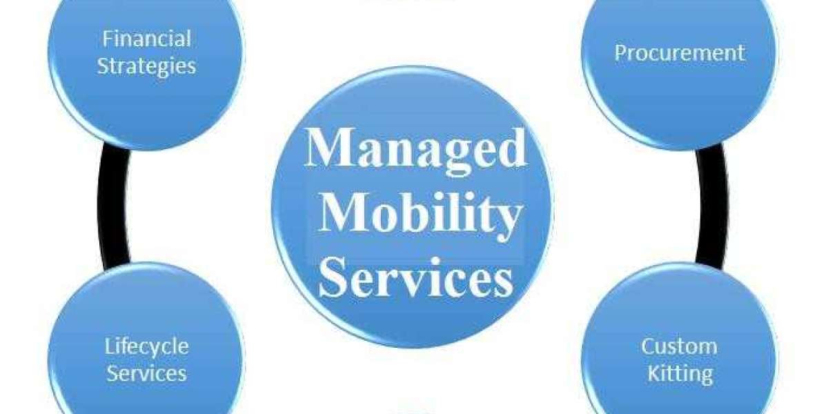 Managed Mobility Services Market Demand and Growth Analysis with Forecast up to 2030