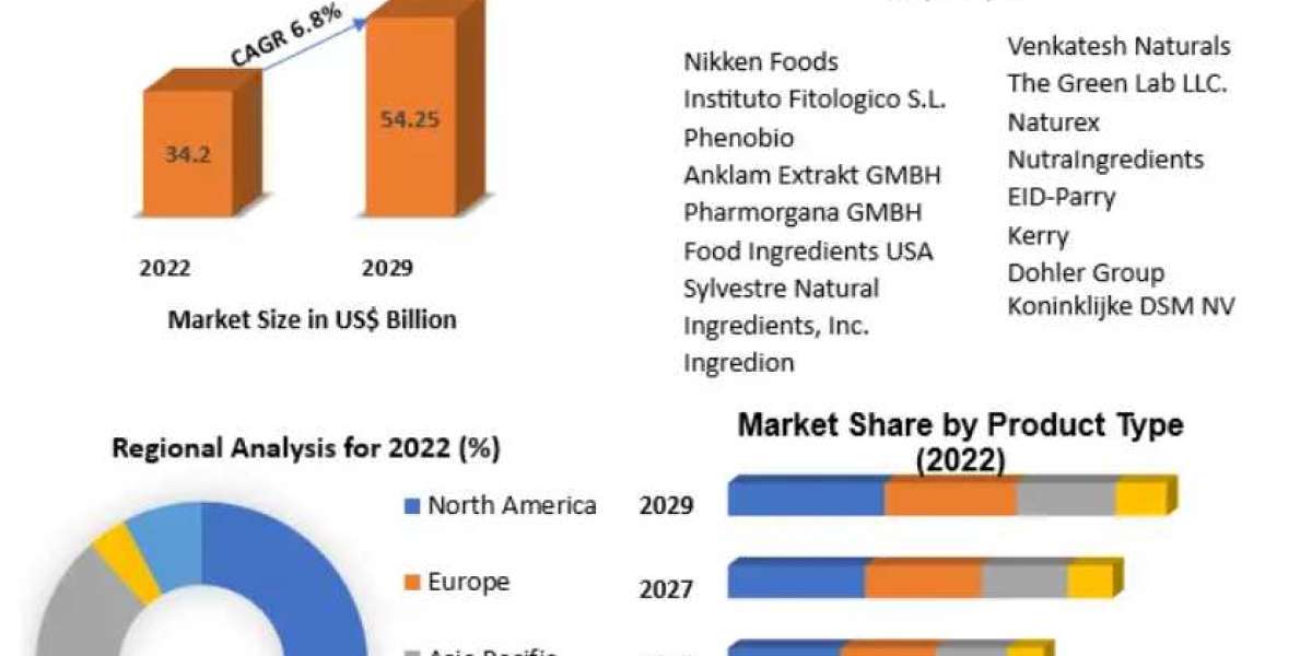 Vegetable Extract Market Trends, Key Industry Outlook 2029