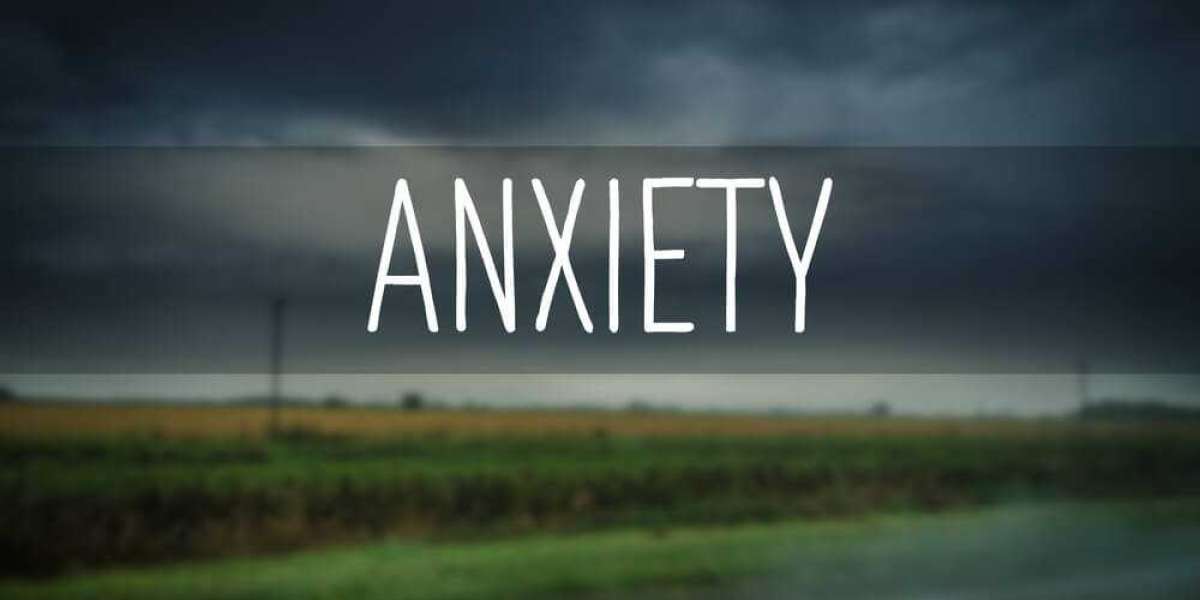 Managing the Challenging Landscape of Anxiety: An All-Inclusive Investigation of Mental Health"