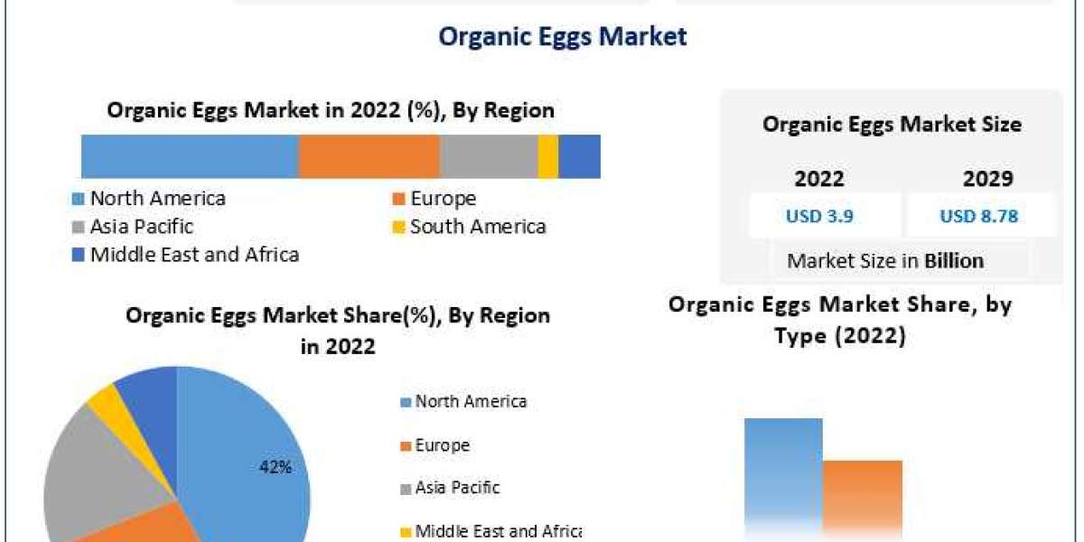 Organic Eggs Market Developments, Key Players, Statistics and Outlook 2029