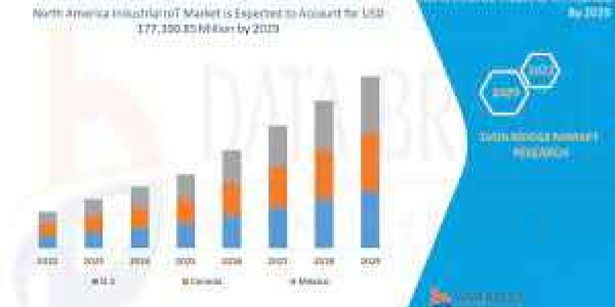 America Digital Experience Platform Market Size, Share Analysis Report