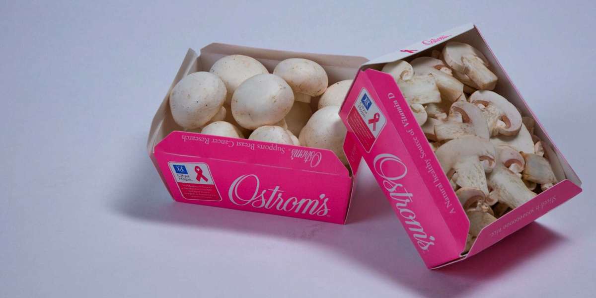 Revolutionizing Packaging: Mushroom Packaging Boxes
