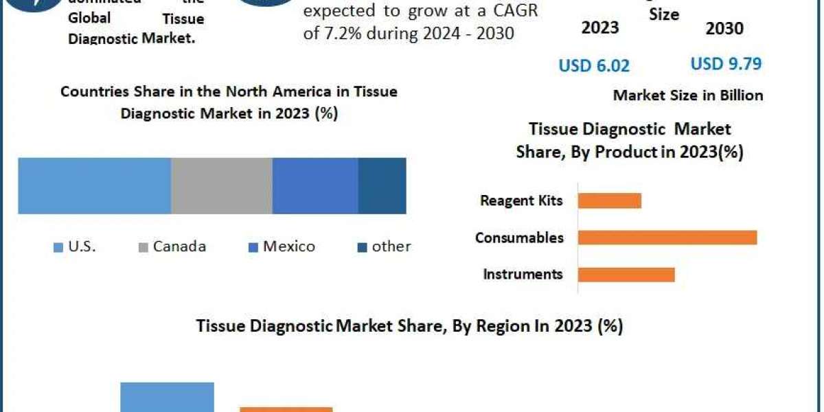 Tissue Diagnostic Market Growth, Demand, Revenue, Major Players and Future Outlook 2024-2030