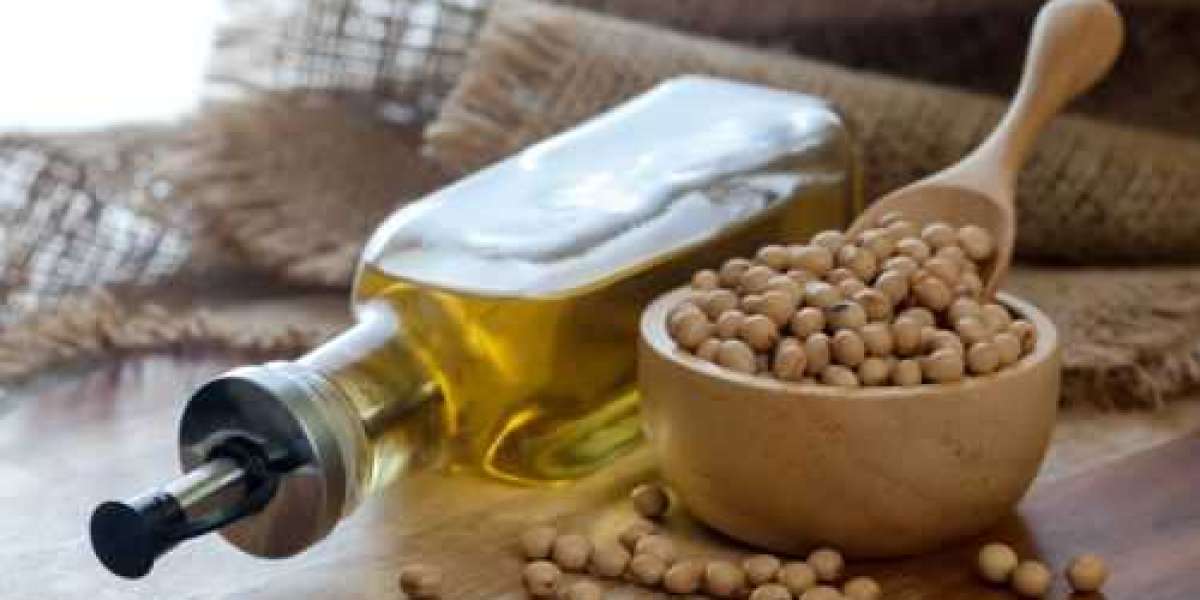 The Soybean Oil Market (2024-2032) - Insights, Trends, and Predictions