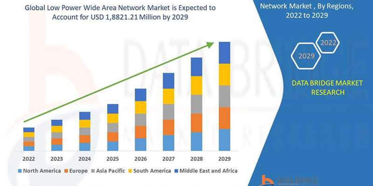 low power wide area network Market Size, Share, Growth Analysis