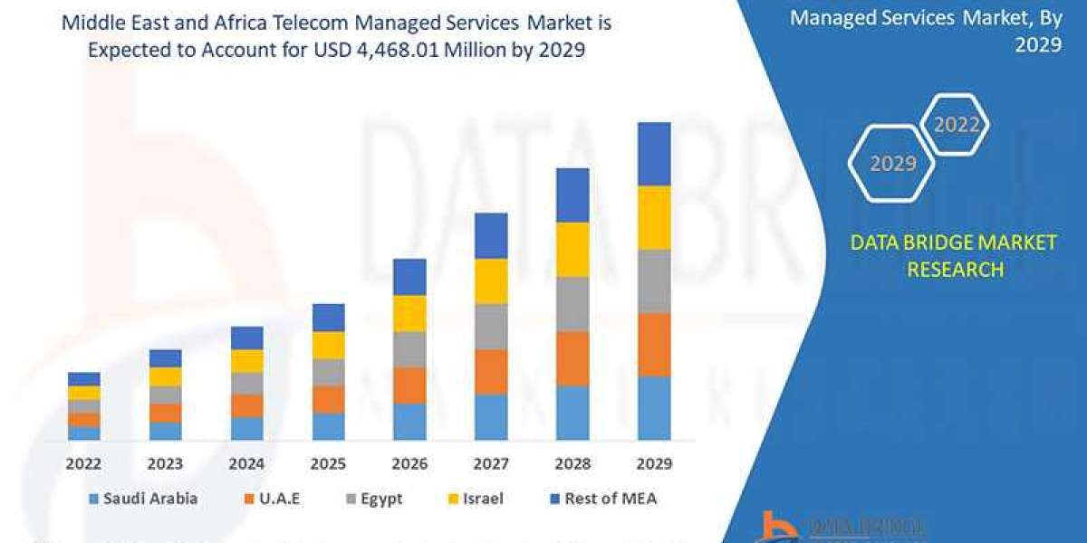 Middle East and Africa Telecom Managed Services Market Size, Share, Growth Analysis