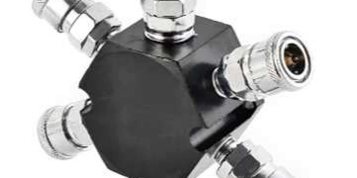 Efficient and Practical: A Comprehensive Insight into Fast Couplings Air Gun Quick Coupling