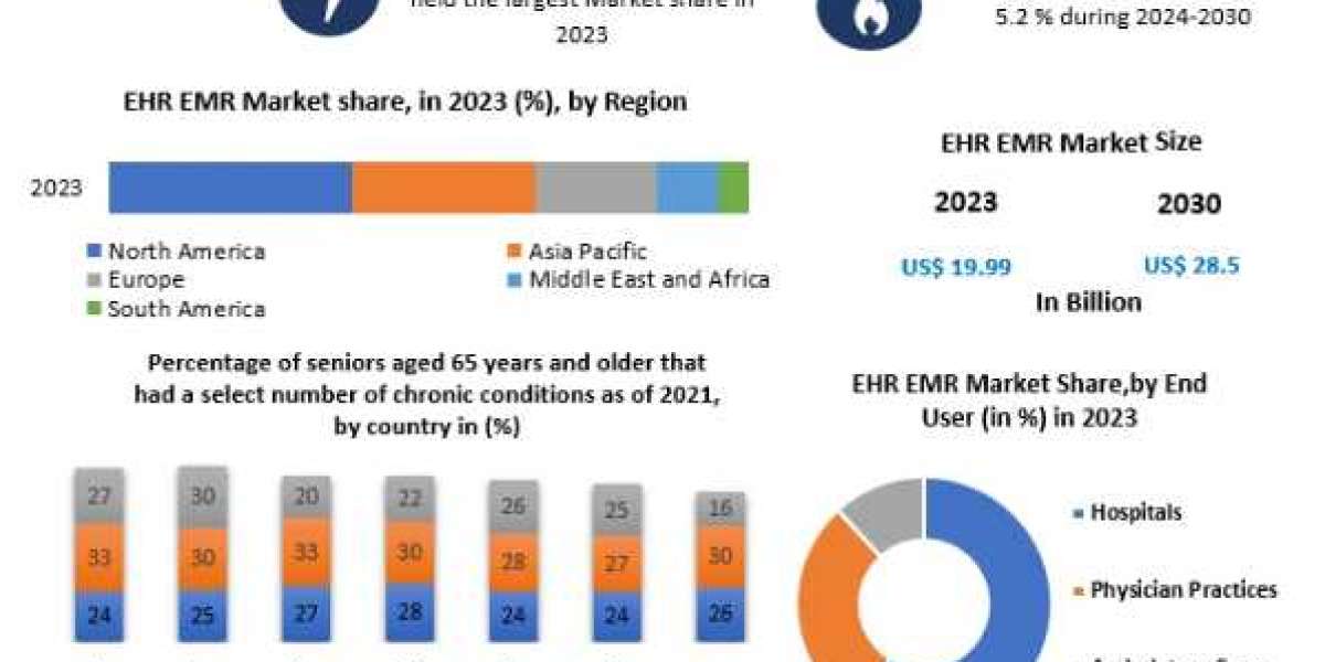 EHR-EMR Market booming Worldwide Opportunity-2030