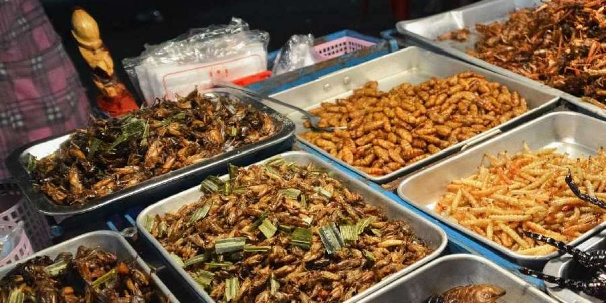 Global Edible Insects Market Size, Share, Growth Drivers, Opportunities, Trends, Competitive Analysis and Forecast to 20