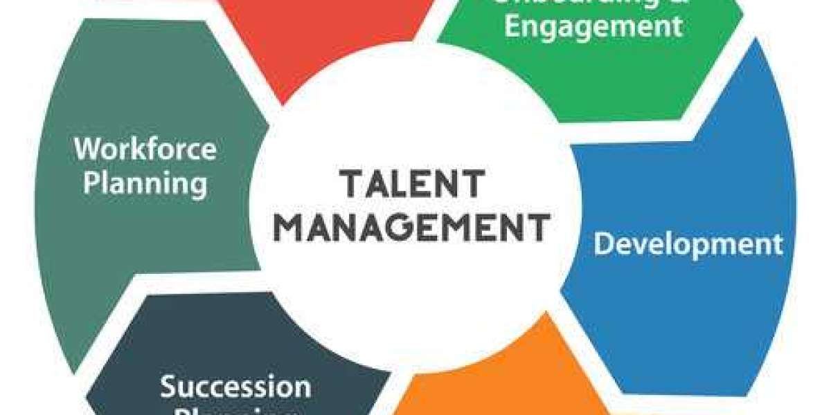 Talent Management Software Market Manufacturers, Research Methodology, Competitive Landscape and Business Opportunities 