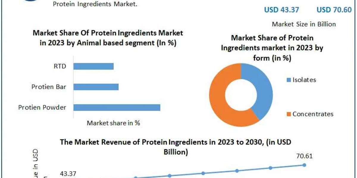 Protein Ingredients Market Size-Share Estimation, Regional Growth Status, CAGR Value, and Leading Countries In-depth Ana