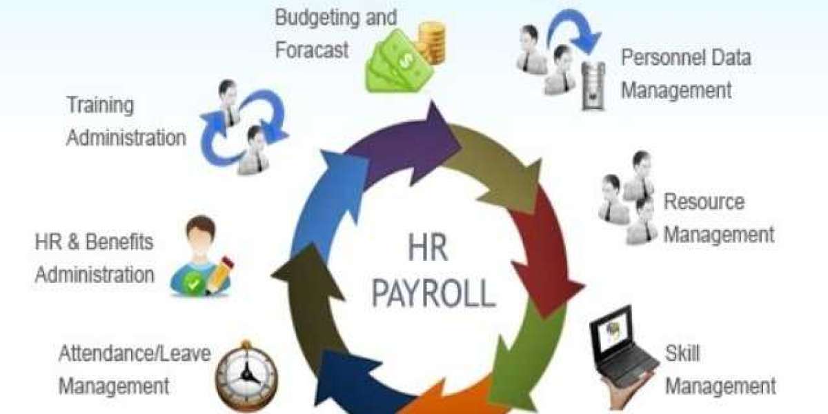 The Next Frontier: Forecasting the HR Payroll Software Market 2022-2030