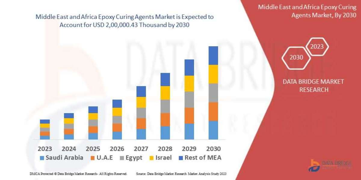 Middle East and Africa Epoxy Curing Agents Market Size, Share, Growth