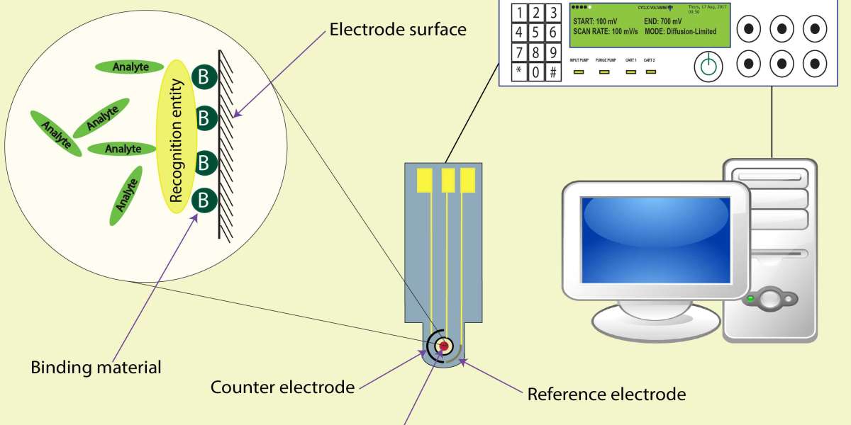 Electrochemical Biosensors: The Versatile Tools Transforming Detection Across Industries