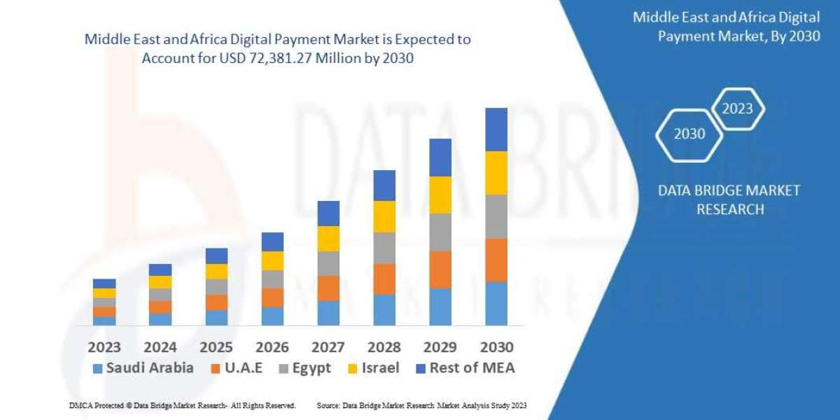 Middle East and Africa Digital Payment Market Size, Share & Trends: Report
