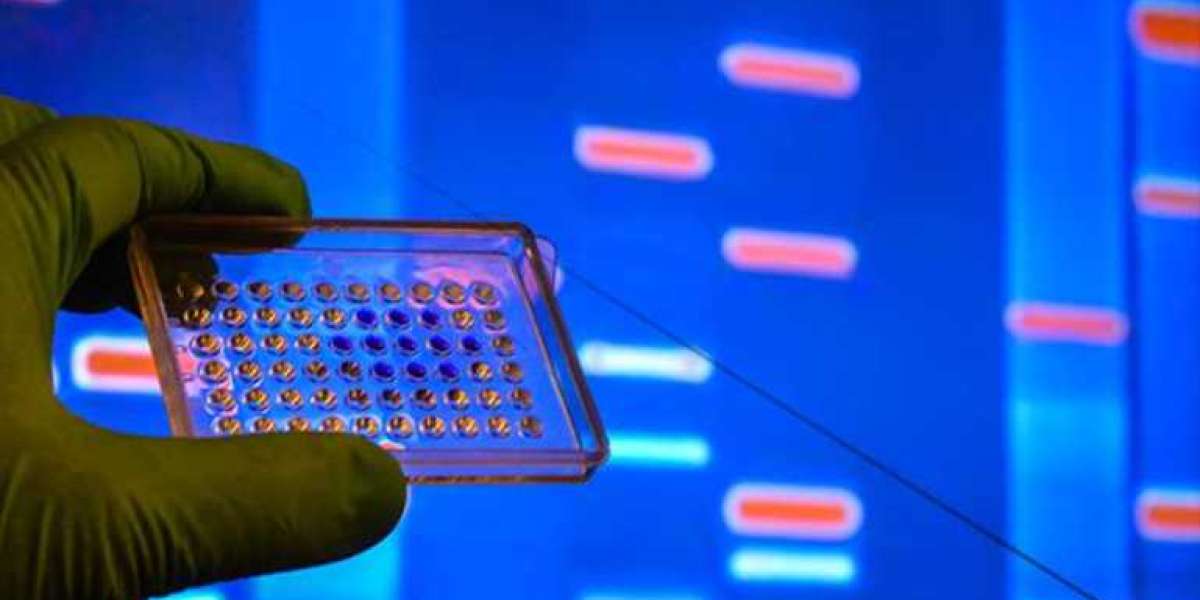 Microarray Biochips Market Size, Share, Growth Drivers, Opportunities, Share, Competitive Analysis and Forecast to 2030