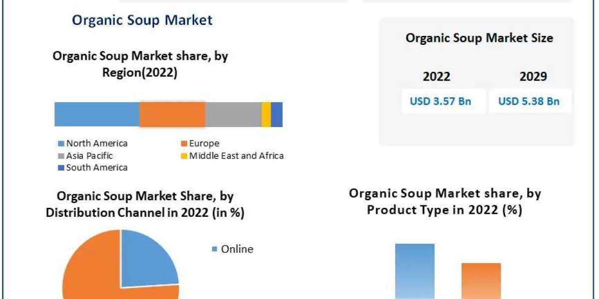 Organic Soup Market Competitive Insights: Major Players and Their Unique Development Strategies | 2029