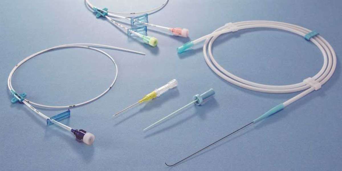 Catheter Market to Reach $78.5 Billion by 2030: Essential Urological Devices Drive Modern Healthcare