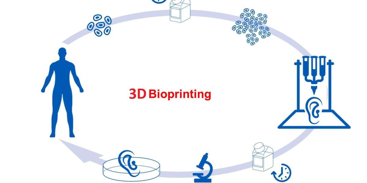 From Sci-Fi to Reality: 3D Bioprinting Market Gears Up for Growth