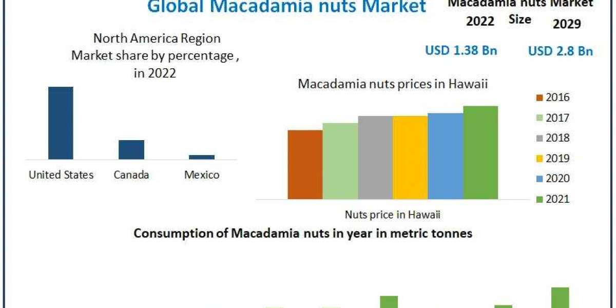 Macadamia Nuts Market Outlook 2023-2029: Evaluating Growth Opportunities and Market Expansion Strategies