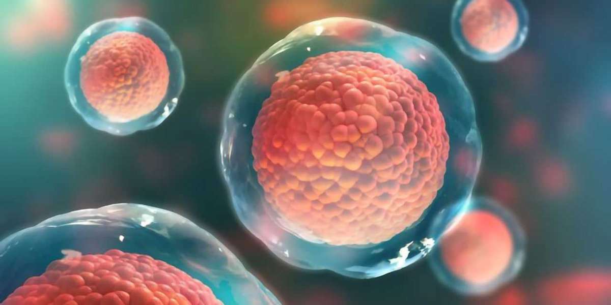 Primary Cells Market Flourishing at 10.4% CAGR: Powering Research with Physiologically Relevant Models