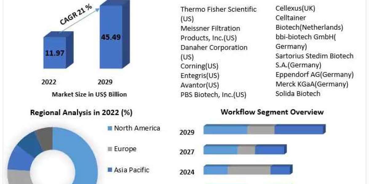 Single-use Bioprocessing Market Industry Share, Growing Trends And Regional Forecast 2029