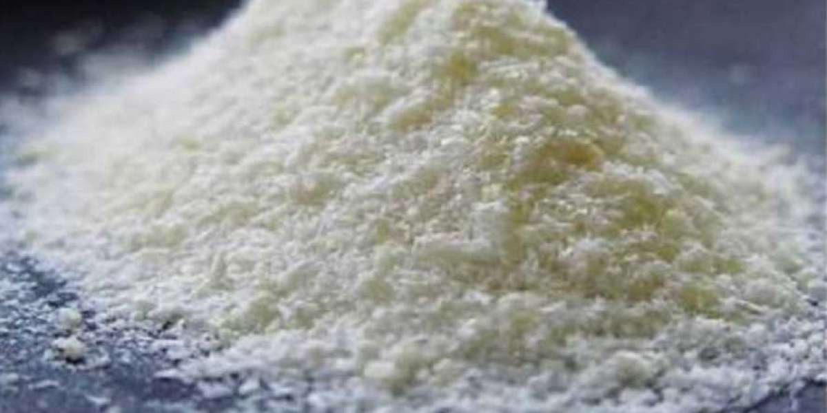 Chitosan Powders Market Size, Share, Growth Drivers, Opportunities, Trends, Competitive Analysis, and Demand Forecast To