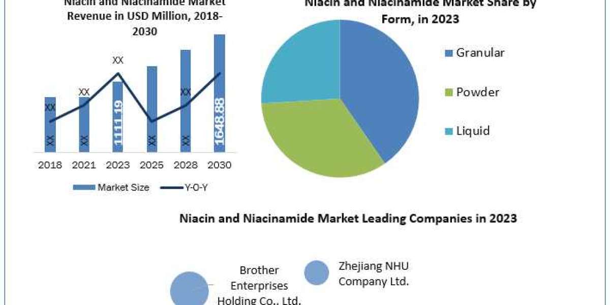Niacin and Niacinamide Market Trends Analysis & Global Industry Forecast 2030