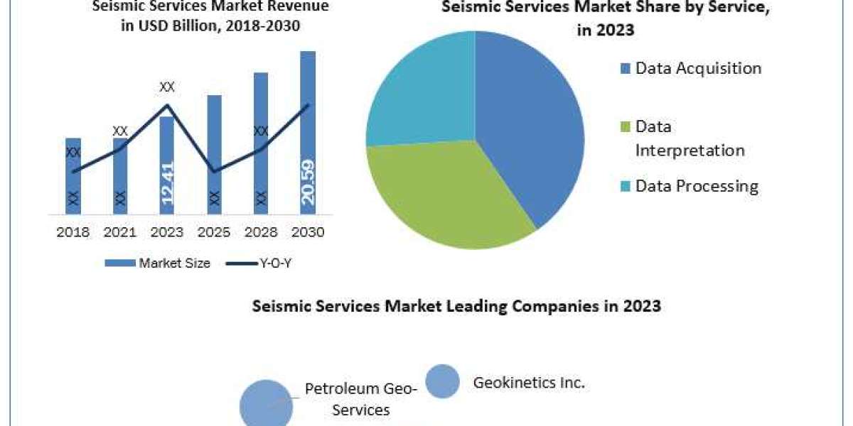 Seismic Services Market Trends Analysis & Global Industry Forecast 2030