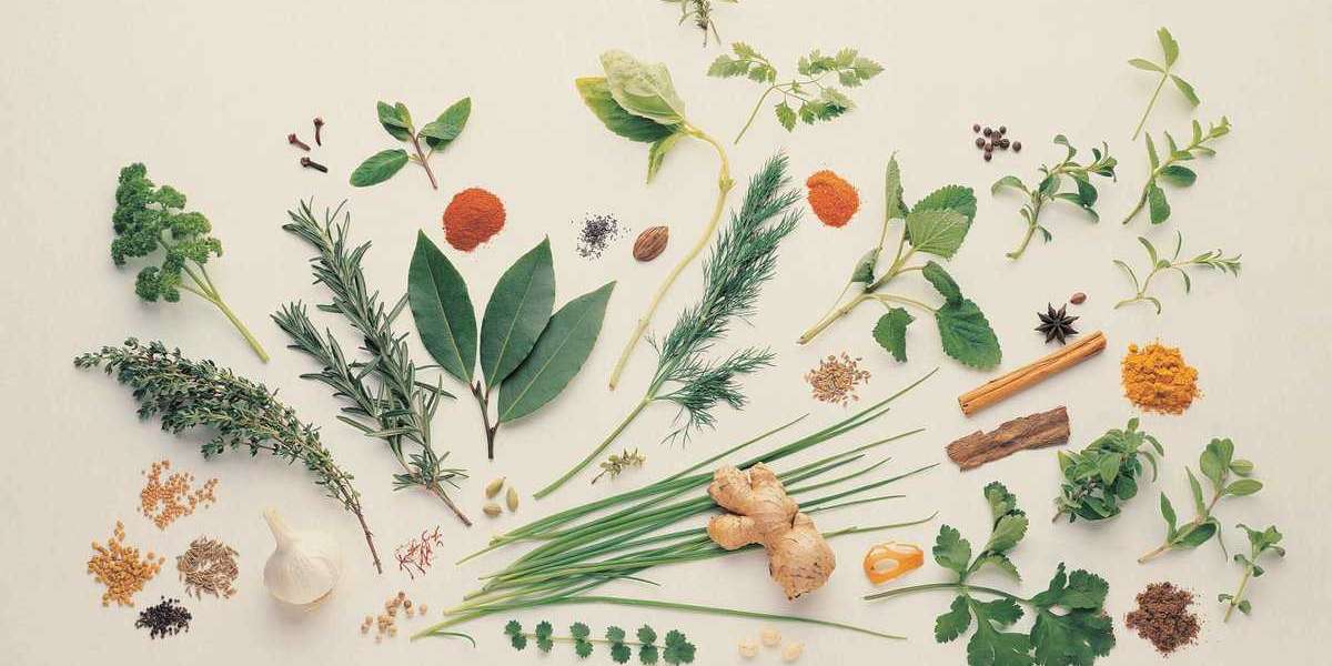 Natural Remedies on the Rise: Medicinal Plant Extracts Market Booming at 7.20% CAGR
