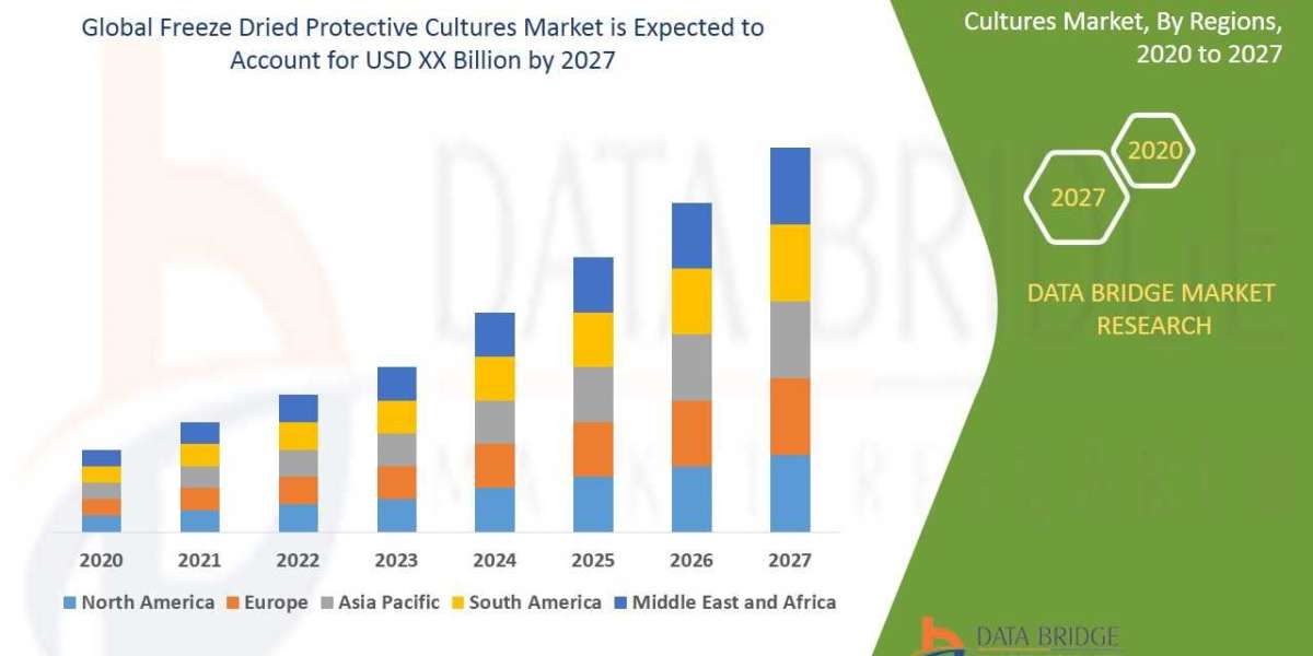 Freeze Dried Protective Cultures Market Size, Share, Trends, Key Drivers, Growth and Opportunity Analysis