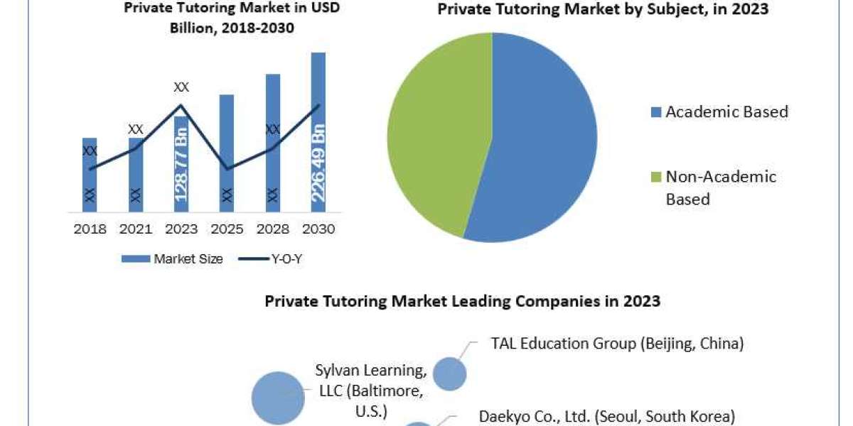 Private Tutoring Industry  Demand, Industry Dynamics and Forecast till 2030
