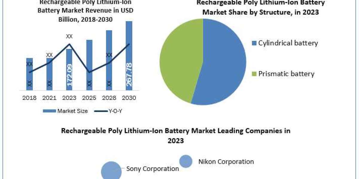 Rechargeable Poly Lithium-Ion Battery Industry Demand, Industry Dynamics and Forecast till 2030